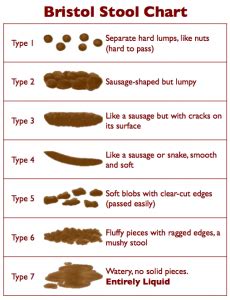 Normal Bowel Movement vs Abnormal Stool Color, Shape, Volume ...