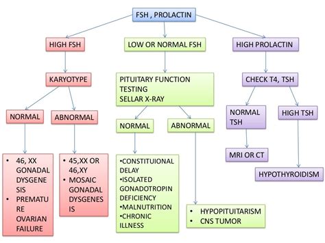 Primary amenorrhoea