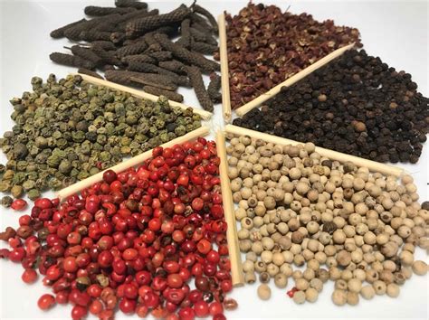 All About Peppercorns – The Spice Tin