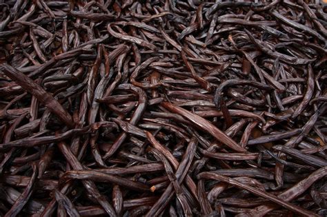 Real Vanilla Isn’t Plain. It Depends On (Dare We Say It) Terroir | Bay ...