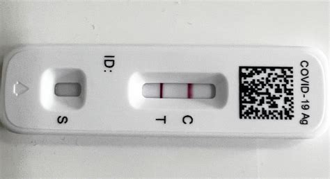 Consecuencias de la COVID-19, en datos: Gran aumento de las muertes por ...