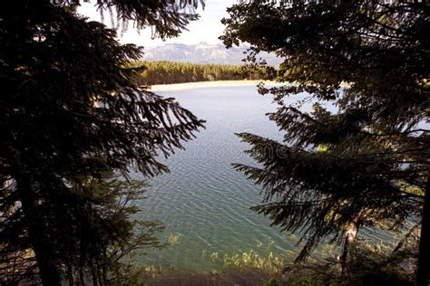 Coyhaique National Reserve, Chile Stock Photo - Image of water ...