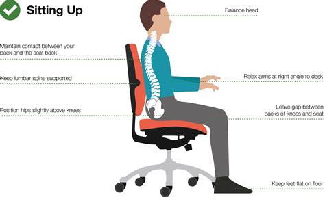 4 Things To Look Out For When Choosing The Right Office Chair That Supports You | hipvan singapore