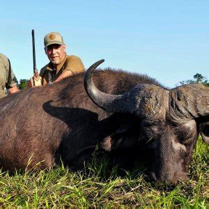 Cape Buffalo Hunting | AfricaHunting.com