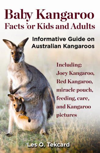 Amazon | Baby kangaroo Facts for Kids and adults: Informative Guide on ...