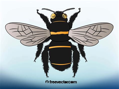 Bee Illustration Vector Art & Graphics | freevector.com