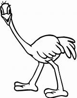 Free Printable Ostrich Coloring Pages For Kids sketch template