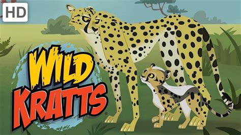 🐆 Wild Kratts - Meet "Blur" the Cheetah! - YouTube