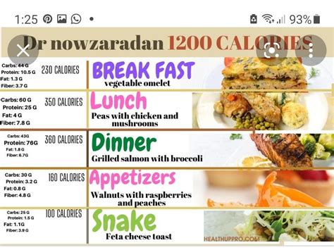 Dr Nowzaradan Diet Plan 1200 Calories Printable