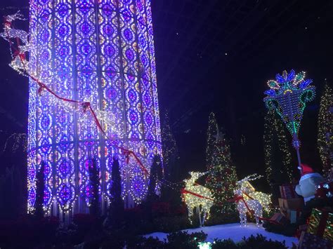 Christmas decorations @ Flower Dome | Christmas decorations, Christmas ...