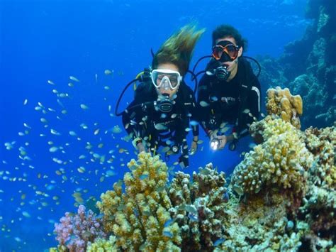 Diving course in Nha Trang | OutdoorTrip