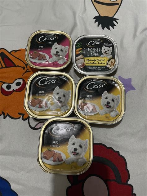 Cesar Wet Dog Food Beef Chicken Australian Turkey, Pet Supplies, Pet ...