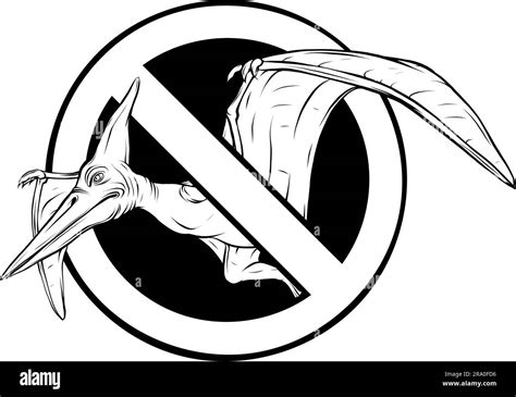 Vector black hand drawn outline flying pterodactyl dinosaur Stock Vector Image & Art - Alamy