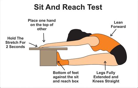 Sit And Reach Test FitnessGram 2023