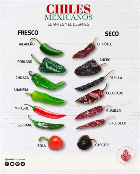 Difference Between Peppers And Chilis at Lourdes Romero blog