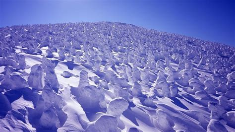 The Snow Monsters of Mount Zao | Visit Yamagata | Kyuhoshi