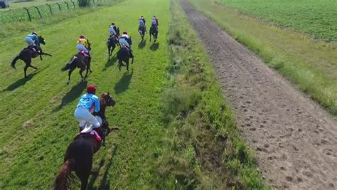 Horse racing flag Stock Video Footage - 4K and HD Video Clips ...