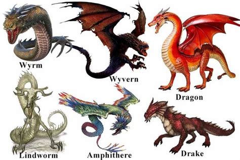 As a Dragon expert, ruin drake is not a drake it's a wyvern.( no ...