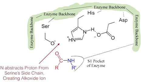 10.15: Mechanisms of Catalysis - Chemistry LibreTexts