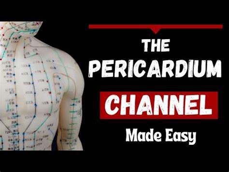 Pericardium Meridian AcuPro - YouTube