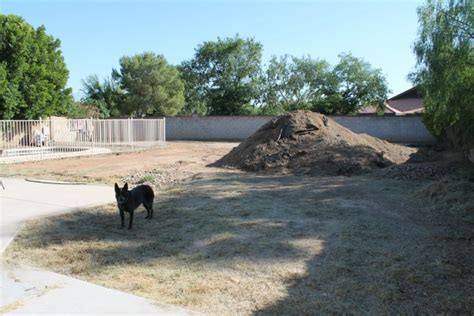 Backyard Landscaping Project: Progress Report - Away She Went