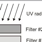 Conception of the measurement of the intensity and dose of UV radiation. | Download Scientific ...