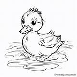 Yellow Duck Coloring Page sketch template