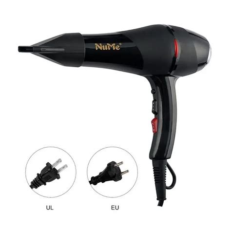 2000W High Power Silent Hair Dryer Professional AC Motor Negative Ionic Blow Dryer With 2 Speed ...