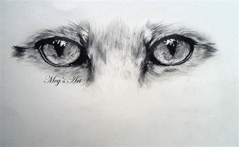 Fox Eyes by stardust12345 on DeviantArt