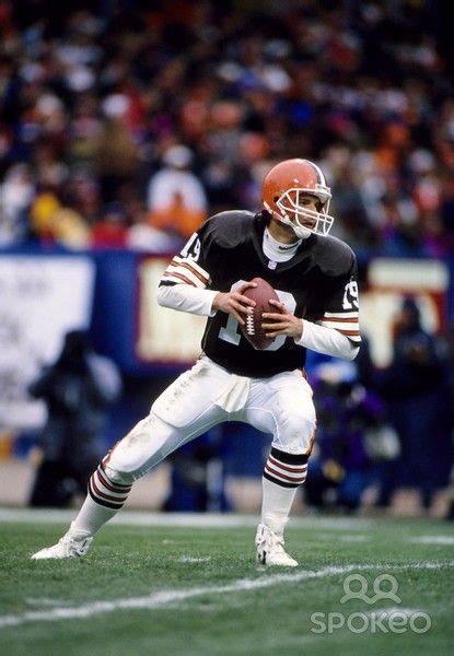 Bernie Kosar Photo Galleries | Cleveland browns history, Cleveland browns football, Browns football