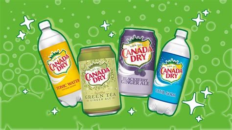 15 Canada Dry Flavors, Ranked | Sporked