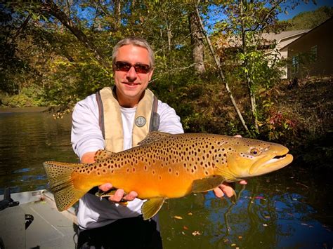 Toccoa River Fishing Report - FISHING ROT