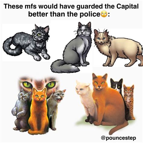 Meme was made by me #warriorcats #warriorcatsmeme | Warrior cats comics ...