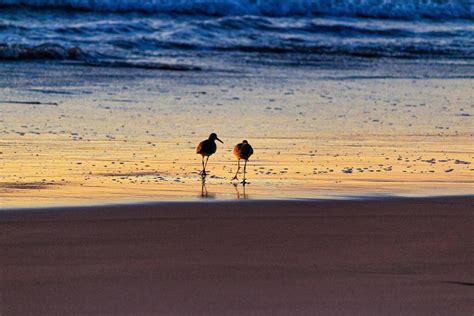 Sunset at Playa del Rosarito - Rosarito Beach, Mexico 2019 2985995 ...