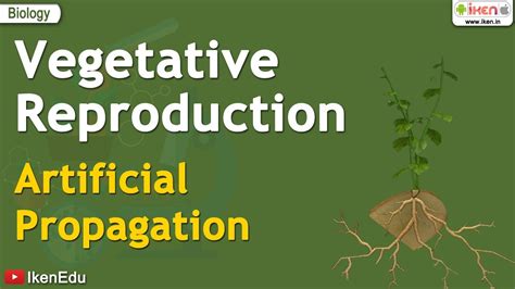 Vegetative Reproduction - Artificial Propagation | iKen | iKen Edu | iKen App - YouTube