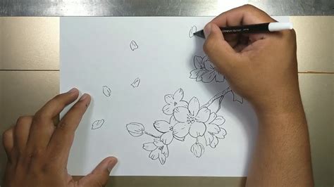 How to draw CHERRY BLOSSOM step by step - YouTube