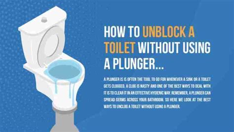 How to Unblock a Toilet Without Using a Plunger | Infographics Archive