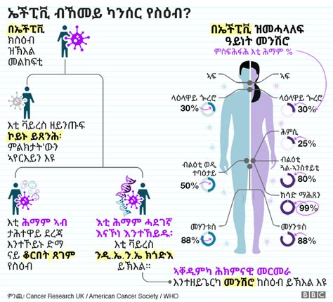 ርዋንዳ ኣንጻር መንሽሮ ማህጸን ኣብ ዝግበር ቃልሲ መሪሕ ተራ ትጻወት ኣላ - BBC News ትግርኛ