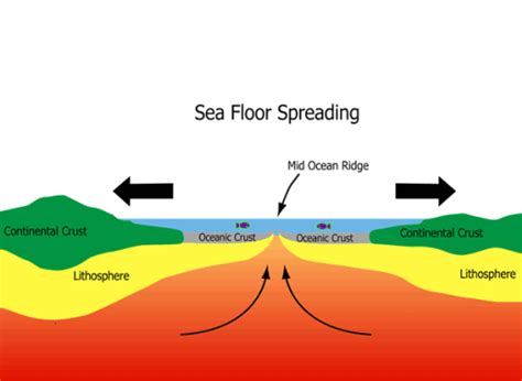 Seafloor Spreading theory, Paleomagnetism – Geography UPSC