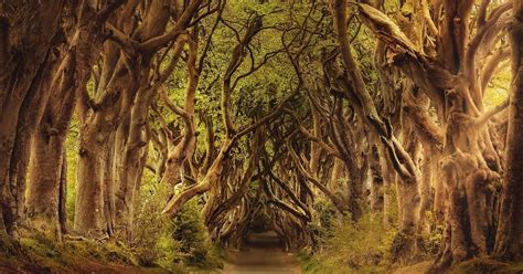 Strange-cations: 11 weird and wonderful places to visit in the UK | Destination Guides | Group ...