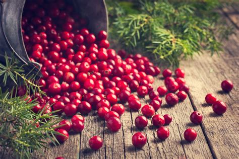 Download Still Life Berry Fruit Food Cranberry 4k Ultra HD Wallpaper