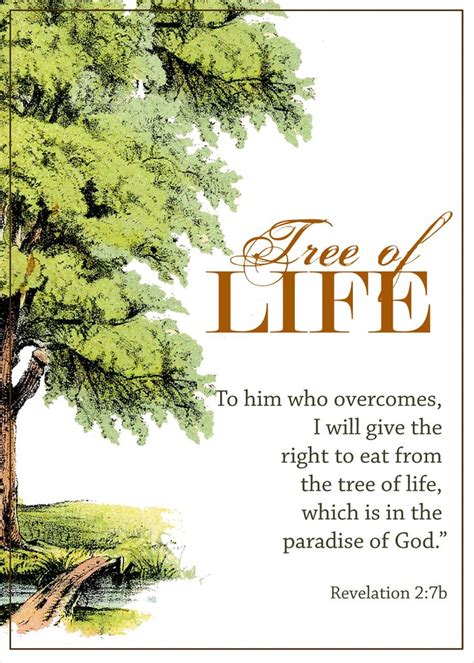 Revelation 2:7b "To him who overcomes, I will give the right to eat ...