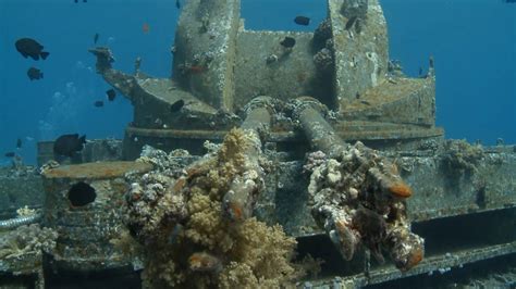 Artificial coral reefs in the Gulf of Aqaba - An underwater documentary ...