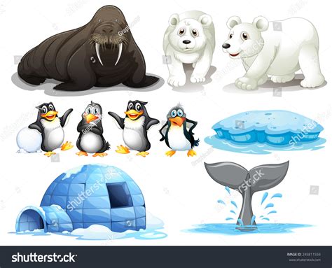 Illustration Of Different Animals From North Pole - 245811559 : Shutterstock