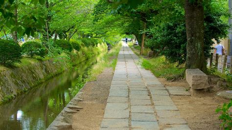 Philosopher's Walk in Kyōto, | Expedia