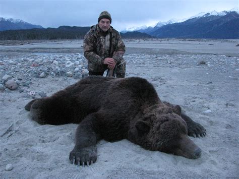 Grizzly Bear Hunting - Alaska