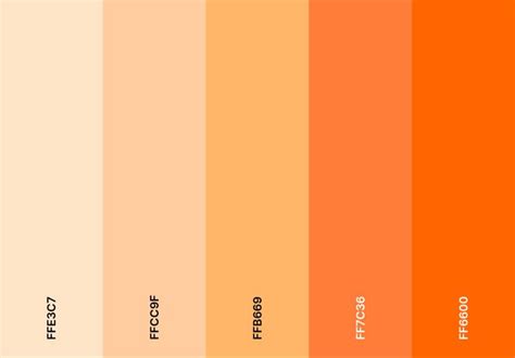 Coolors Orange Color Palette in 2023 | Orange color palettes, Color ...