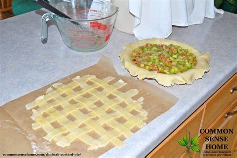 Easy Old Fashioned Rhubarb Custard Pie (4 Ingredient Filling)