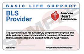 Healthcare Provider BLS (Basic Life Support) - Community First Responder