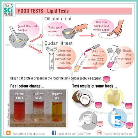 SciTime - Lipid Tests (Oil Stain Test and Sudan III Test)